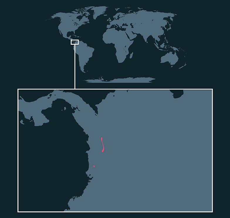 Emplacement de la carte