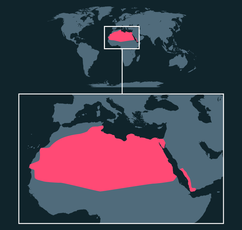 Map location