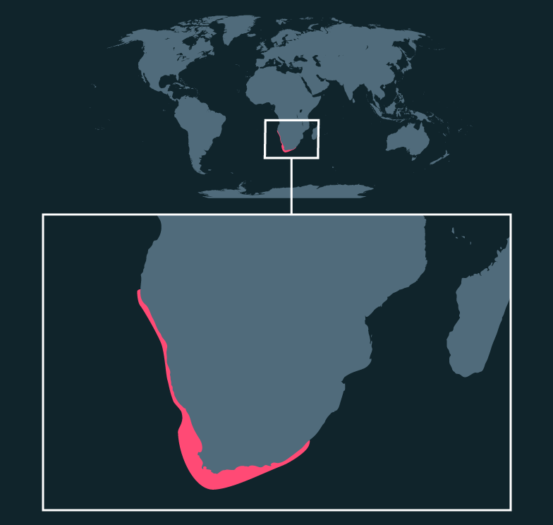 Map location