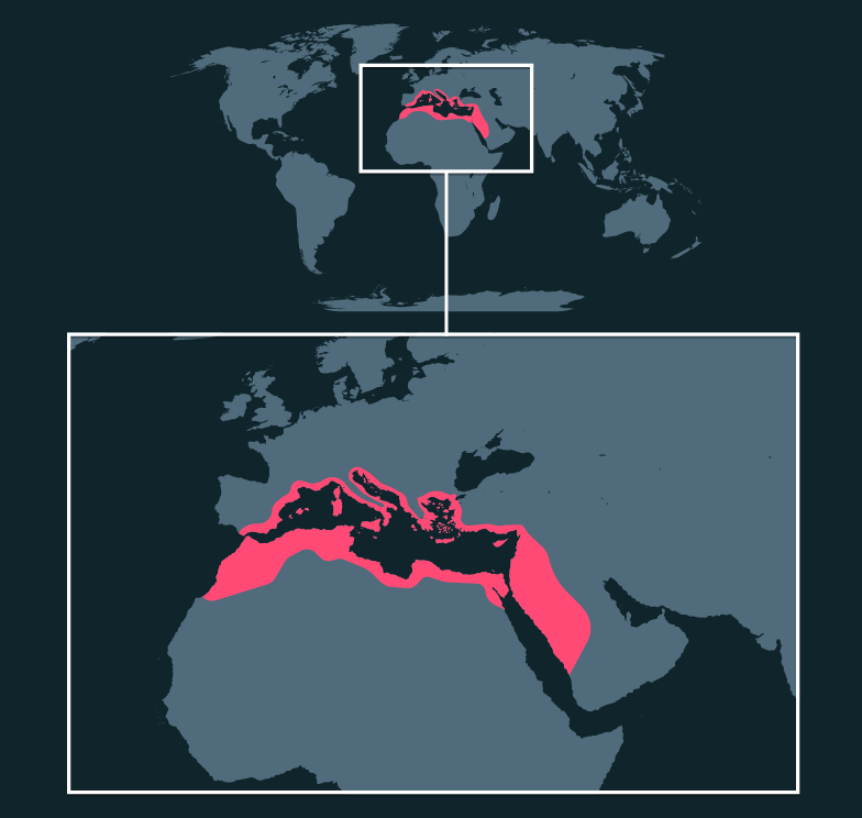 Map location