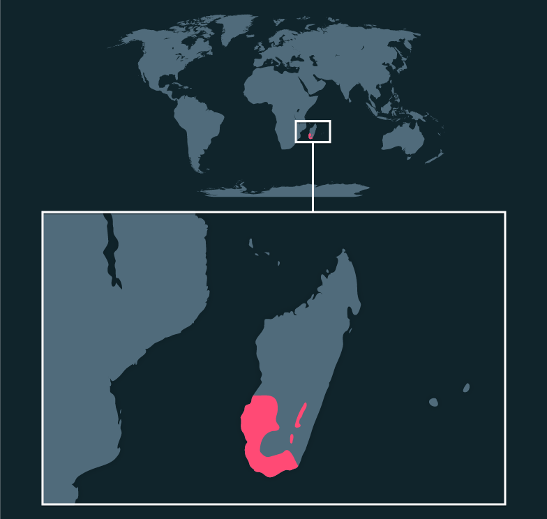 Map location