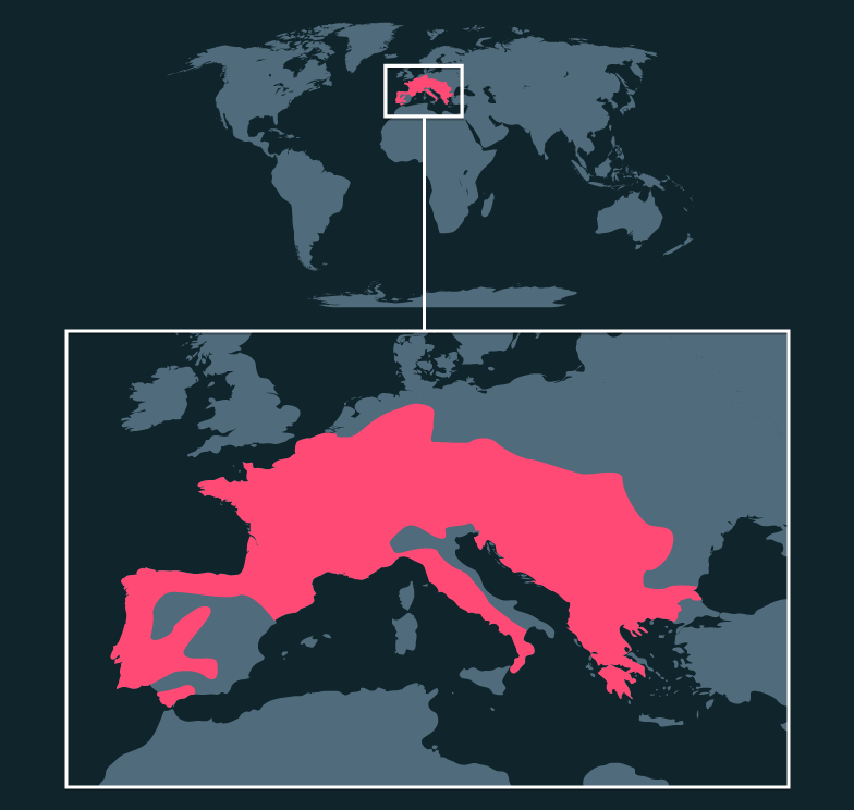 Map location