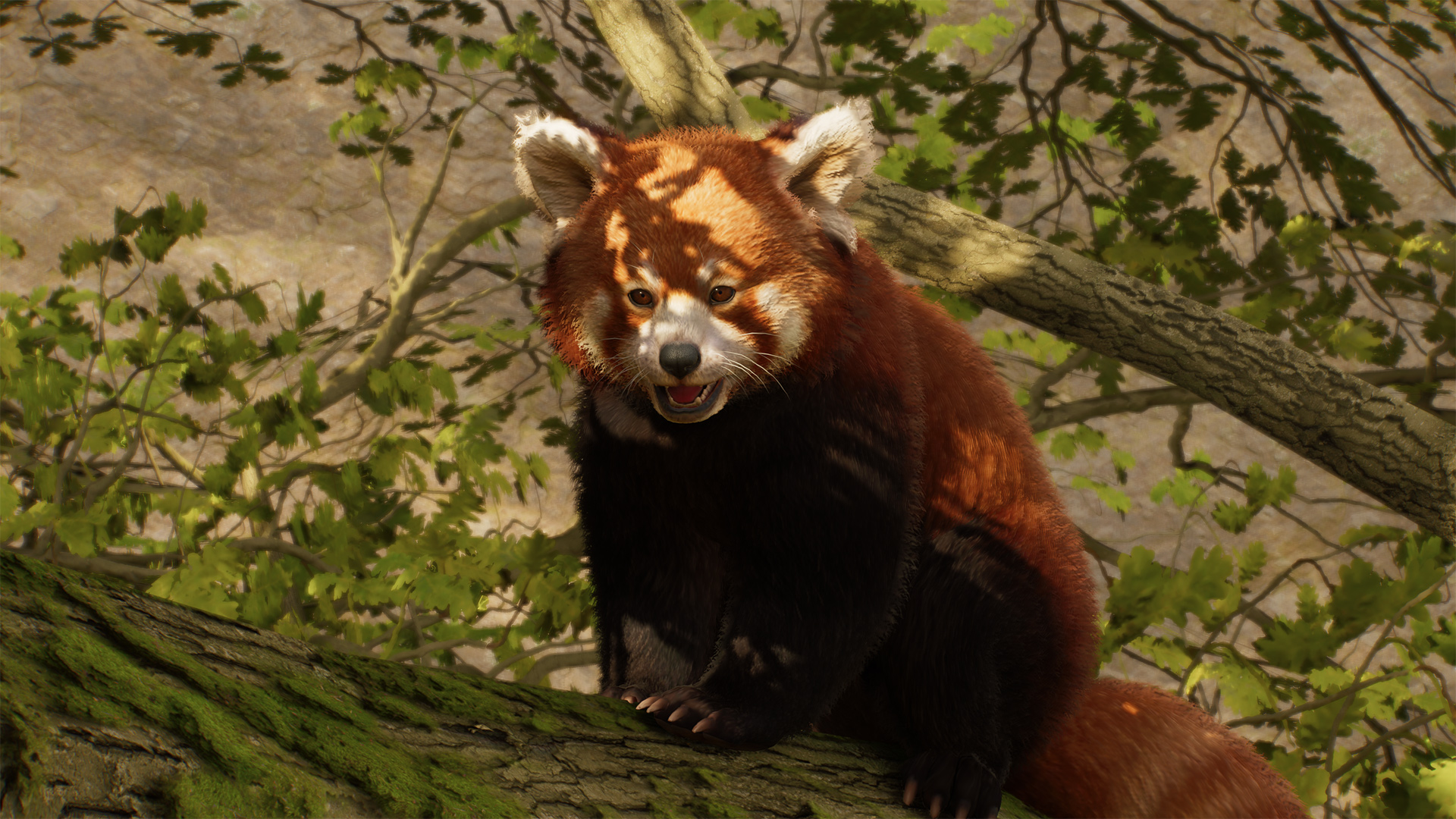 Red Panda - Zoopedia - Planet Zoo 2