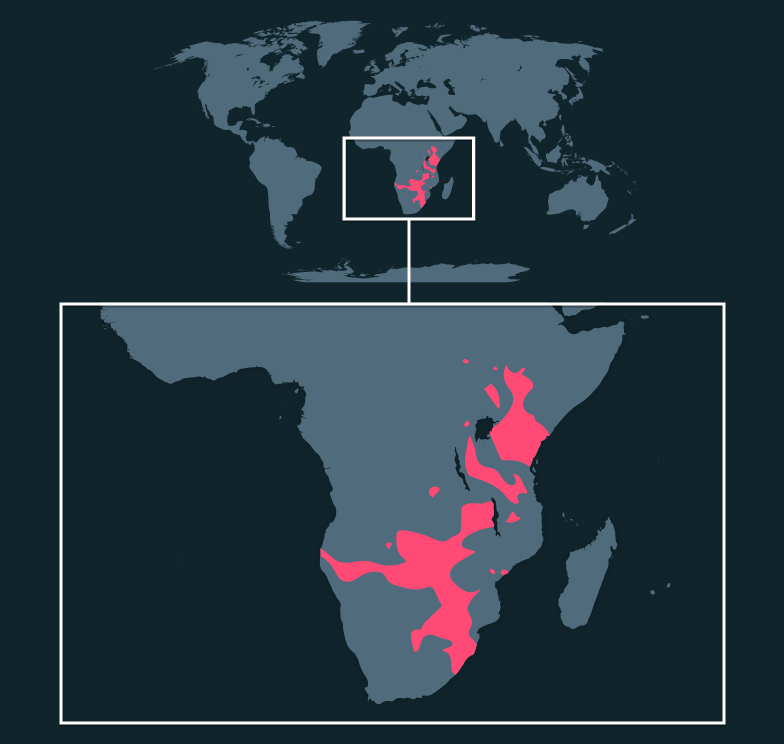 Map location