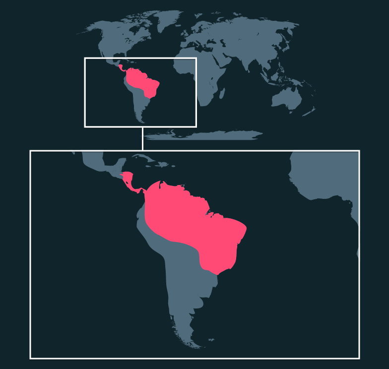 Map location