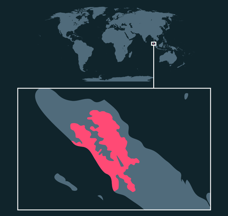 Ubicación en el mapa