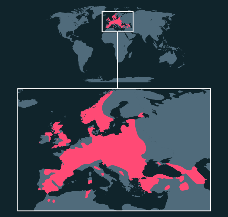 Map location