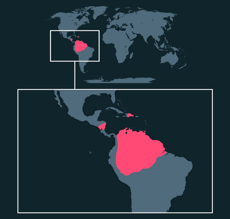 Map location