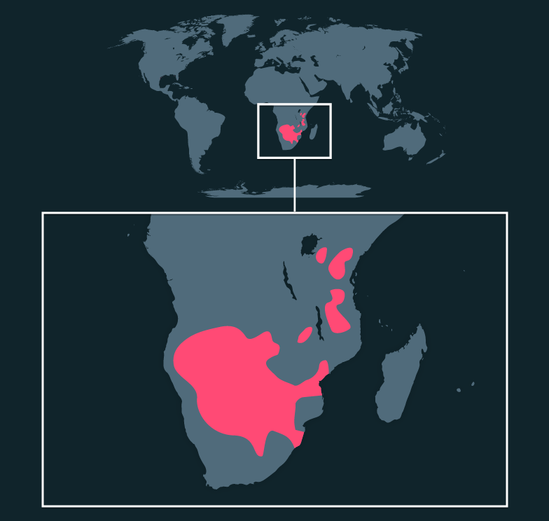 Map location