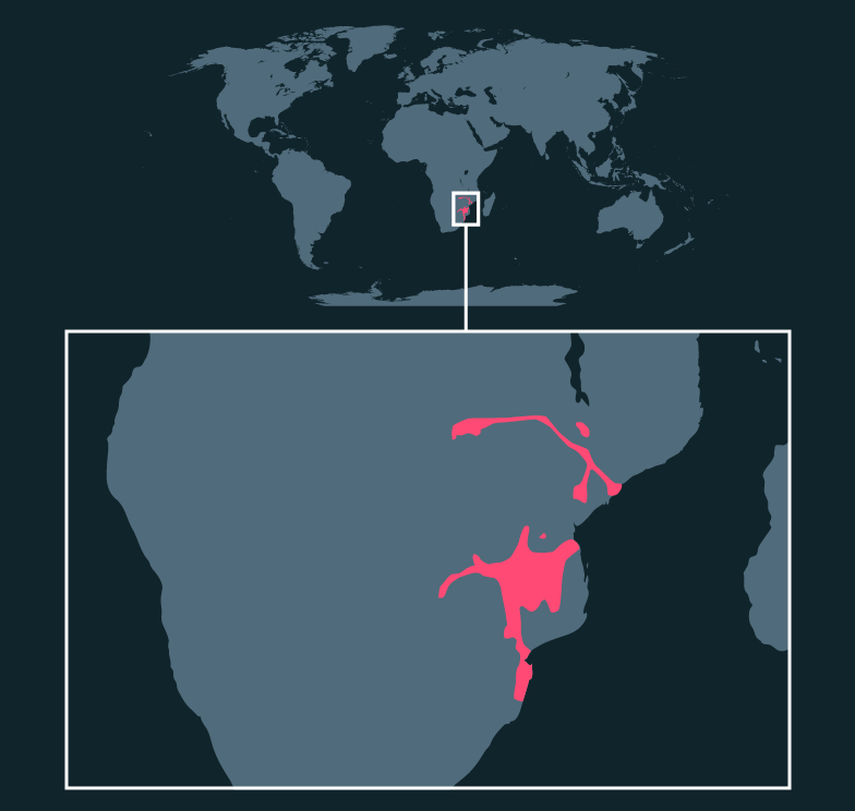 Posizione mappa