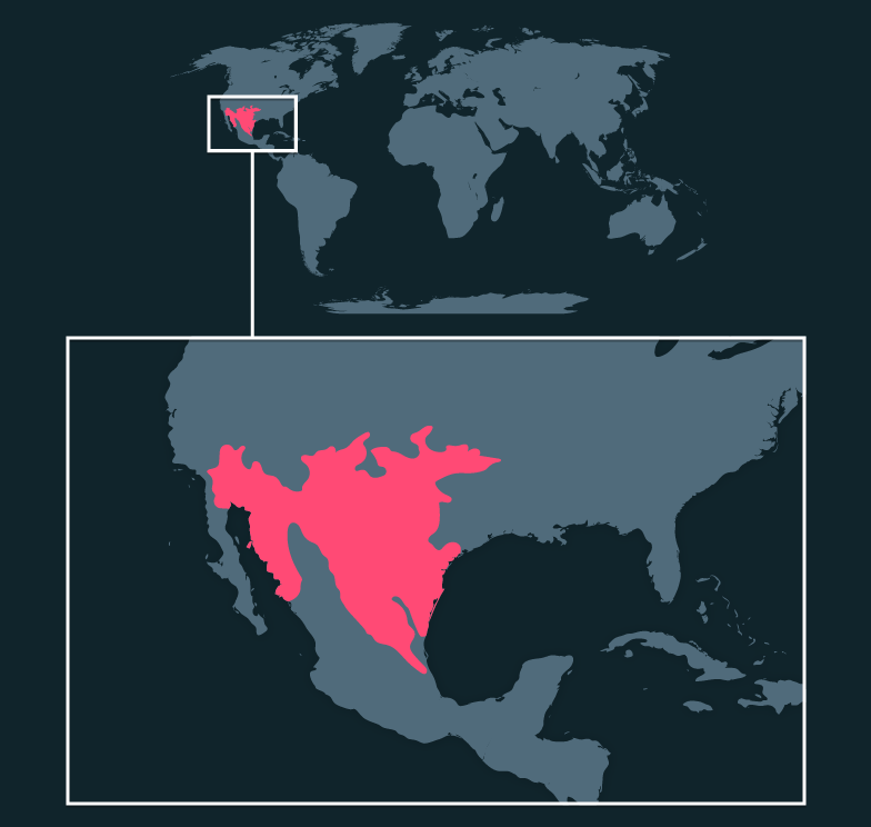 Map location