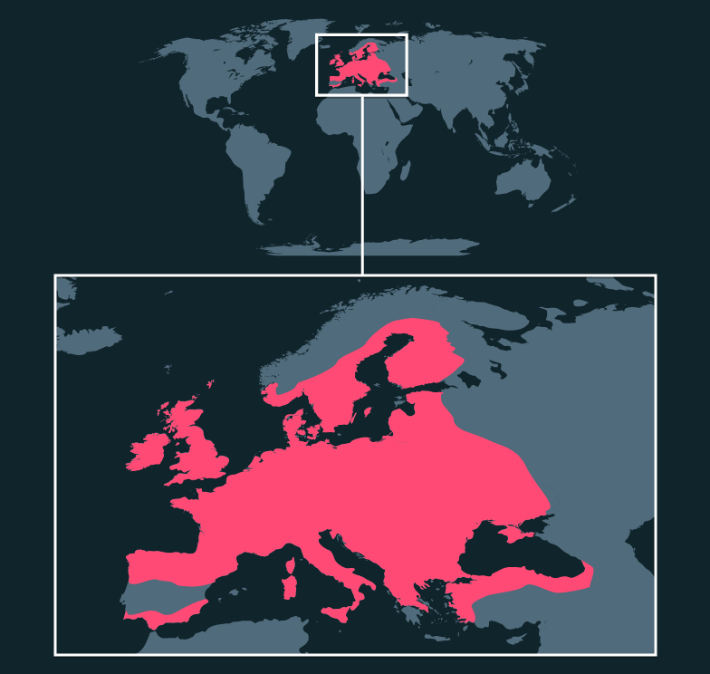 Map location