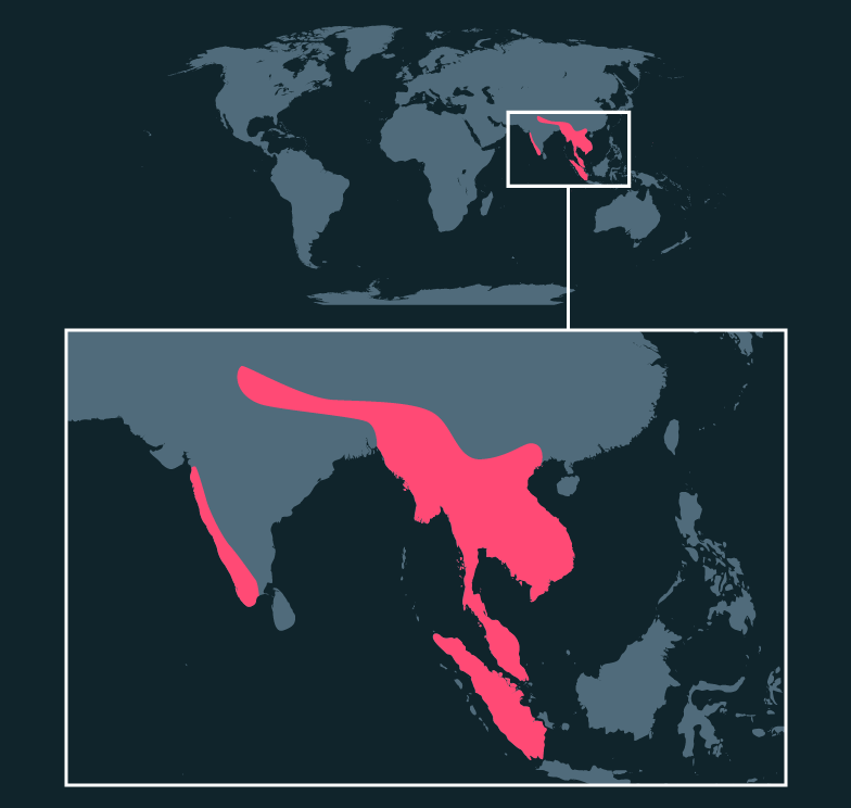 Map location