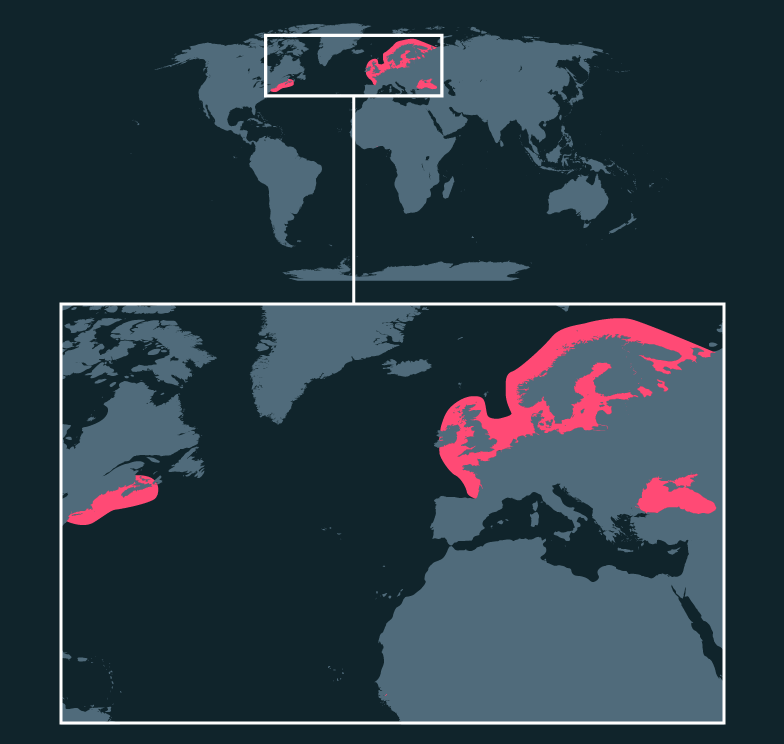 Map location